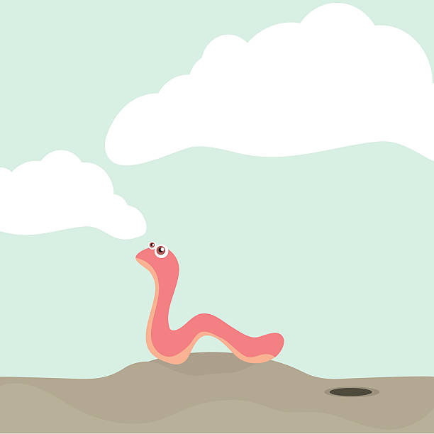 Norman the Worm vector art illustration