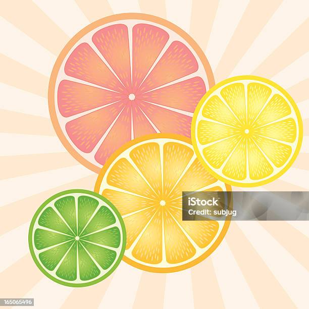Le Citrus Vecteurs libres de droits et plus d'images vectorielles de Acide ascorbique - Acide ascorbique, Acide citrique, Agrume