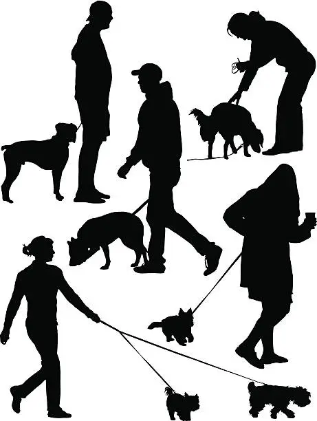 Vector illustration of Walking Dogs