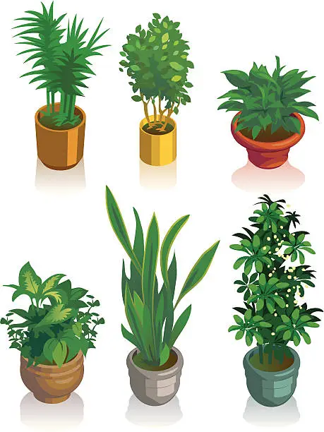 Vector illustration of Isometric House Plants