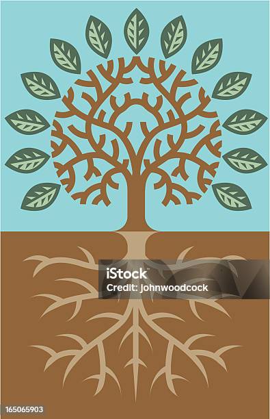 Baum Und Wurzeln Stock Vektor Art und mehr Bilder von Ast - Pflanzenbestandteil - Ast - Pflanzenbestandteil, Baum, Blatt - Pflanzenbestandteile
