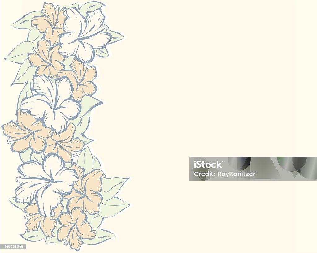 Hibiscus kwiaty wzór - Grafika wektorowa royalty-free (Bez ludzi)