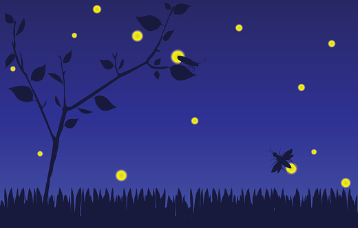 A nice firefly background for summer.