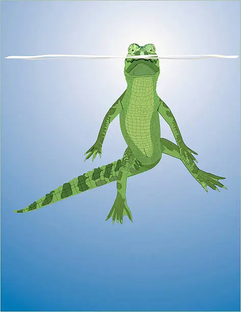 Vector illustration of Floating Gator