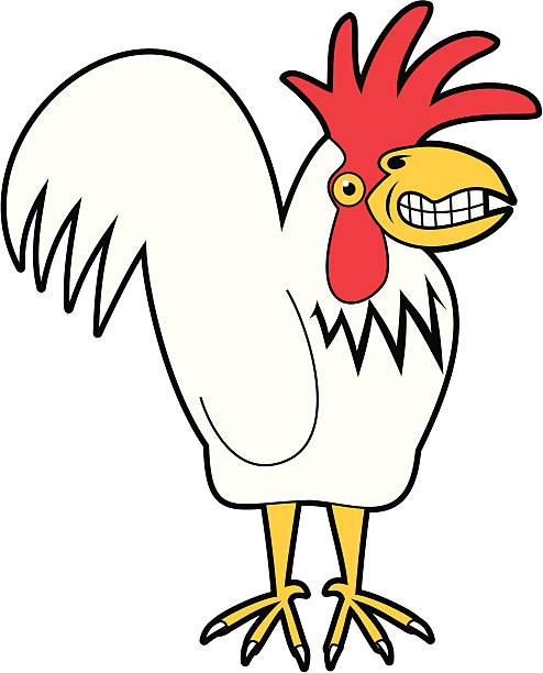Crazy Grinning Rooster Crazy chicken cartoon. Grinning like a fool! Perfect partner for my crazy grinning chicken. Hi res jpg included. More critters below! crazy chicken stock illustrations