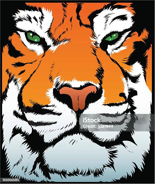 Vettore Tigre - Immagini vettoriali stock e altre immagini di Animale - Animale, Animale selvatico, Composizione verticale