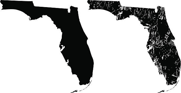 штат флорида - florida cartography map florida keys stock illustrations