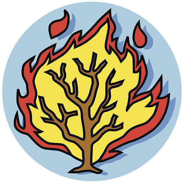 burning bush icon A vector icon of the Burning Bush from the Old Testament. winged spindletree stock illustrations