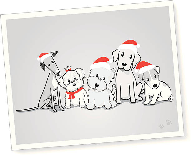 gemischte gruppe von hunden mit santa-mützen - mixed breed dog illustrations stock-grafiken, -clipart, -cartoons und -symbole