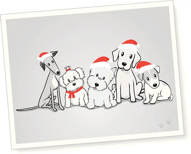 Vector illustration of Mixed Group of dogs with Santa Hats