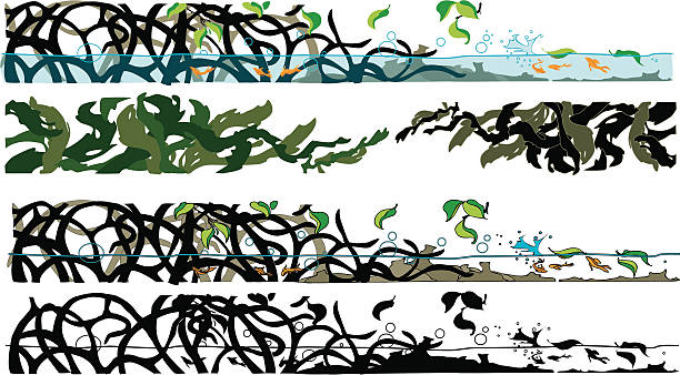 mangroves mud and seaweed long illustration vector art illustration
