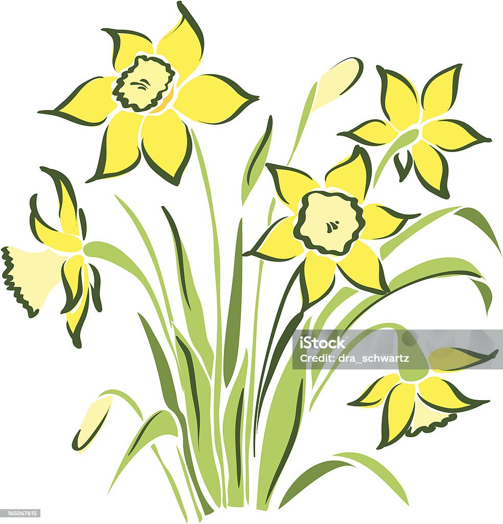 Fiori di primavera - arte vettoriale royalty-free di Narciso - Liliacee
