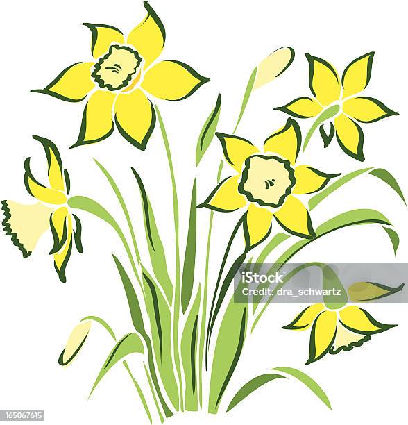 Fiori Di Primavera - Immagini vettoriali stock e altre immagini di Narciso - Liliacee - Narciso - Liliacee, Aiuola, Ambientazione esterna
