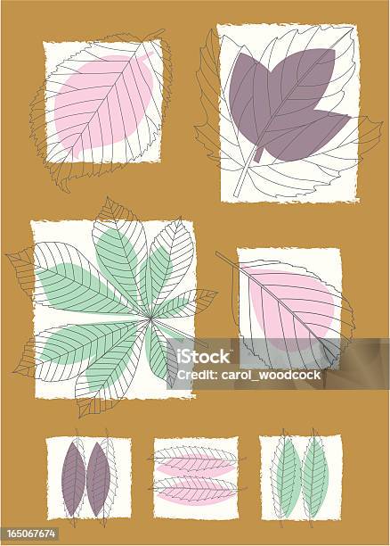 Leaf Adern Stock Vektor Art und mehr Bilder von Hausgarten - Hausgarten, Herbst, Baum