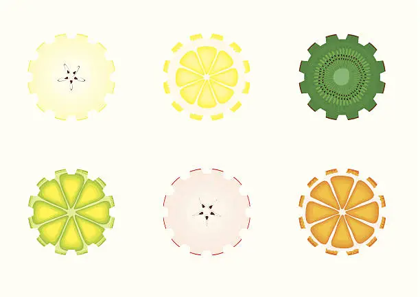 Vector illustration of Vitamin mechanism