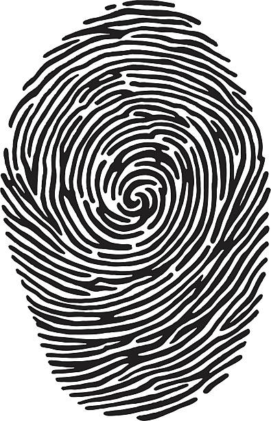 A black and white close-up image of a fingerprint vector art illustration