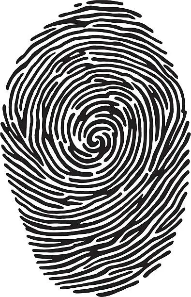 Vector illustration of A black and white close-up image of a fingerprint