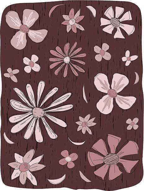 ilustrações de stock, clip art, desenhos animados e ícones de flor de grãos - daisy rose single flower pedal