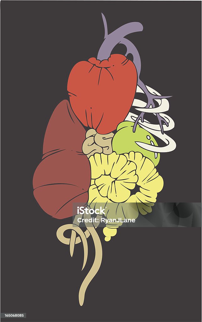 Abstract Internal Organs Human Internal Organs And Bones Vector Stock Illustration - Download ...
