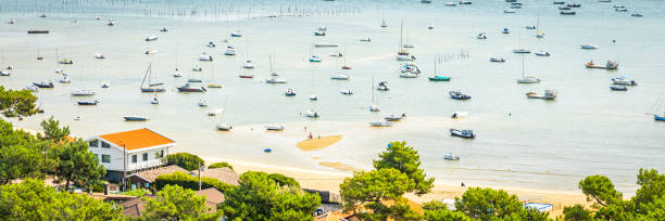 cap ferret의 belisaire 지구에 있는 보트와 arcachon bay - above high angle view animal aquitaine 뉴스 사진 이미지