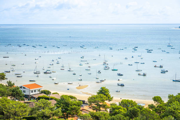 cap ferret의 belisaire 지구에 있는 보트와 arcachon bay - above high angle view animal aquitaine 뉴스 사진 이미지