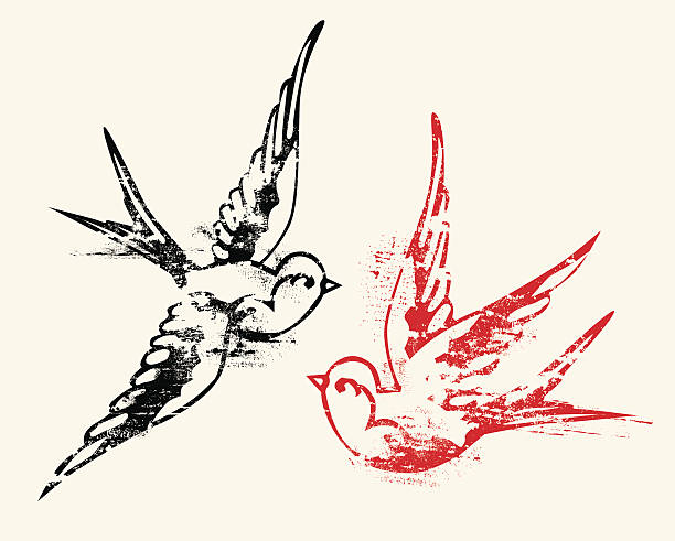 Aged tattoo style swallows Three individual elements, two swallows and background. One step to recolor each element. Files included AI8 eps and large .jpg swallow bird illustrations stock illustrations