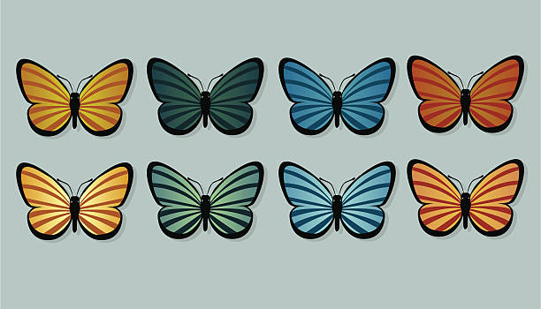 Striped Butterflies vector art illustration