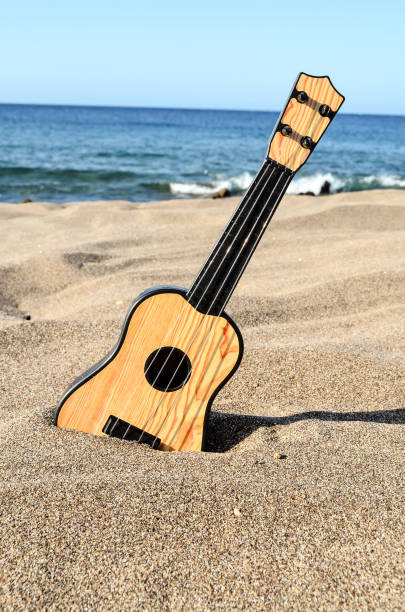 istock Guitar on the Sand Beach, bass guitar background 1650687141