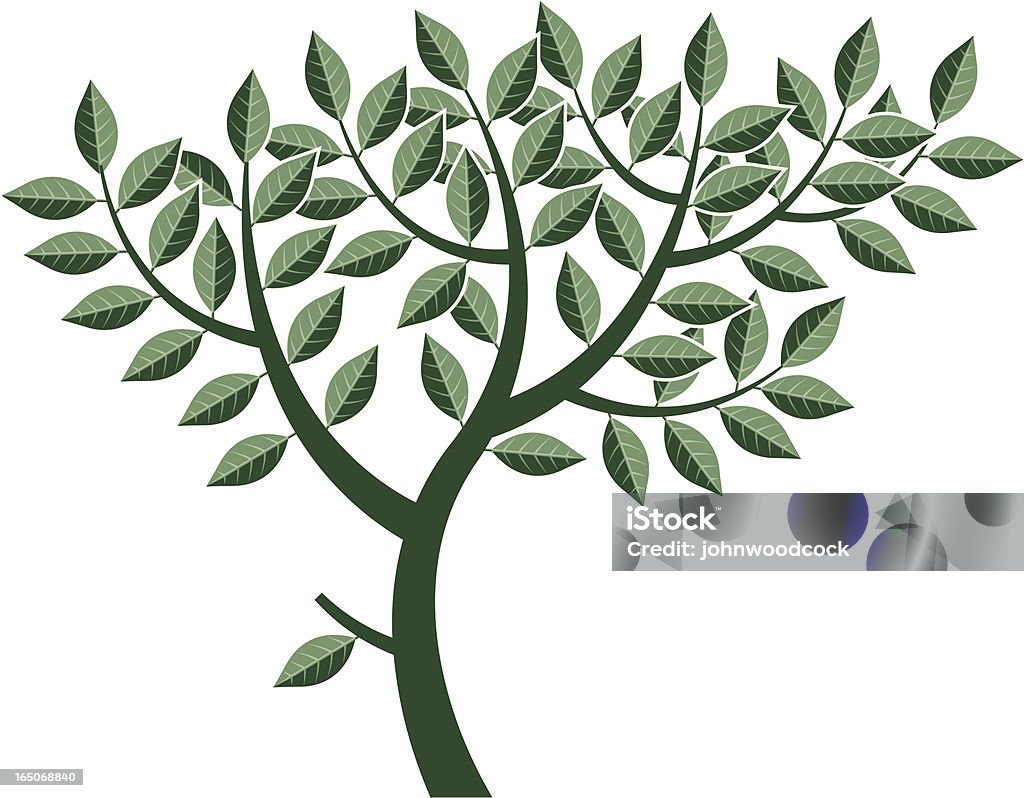 Árvore - Royalty-free Botânica - Ciência de plantas arte vetorial