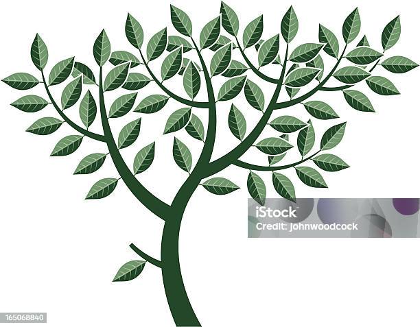 Árvore - Arte vetorial de stock e mais imagens de Botânica - Ciência de plantas - Botânica - Ciência de plantas, Cor verde, Crescimento