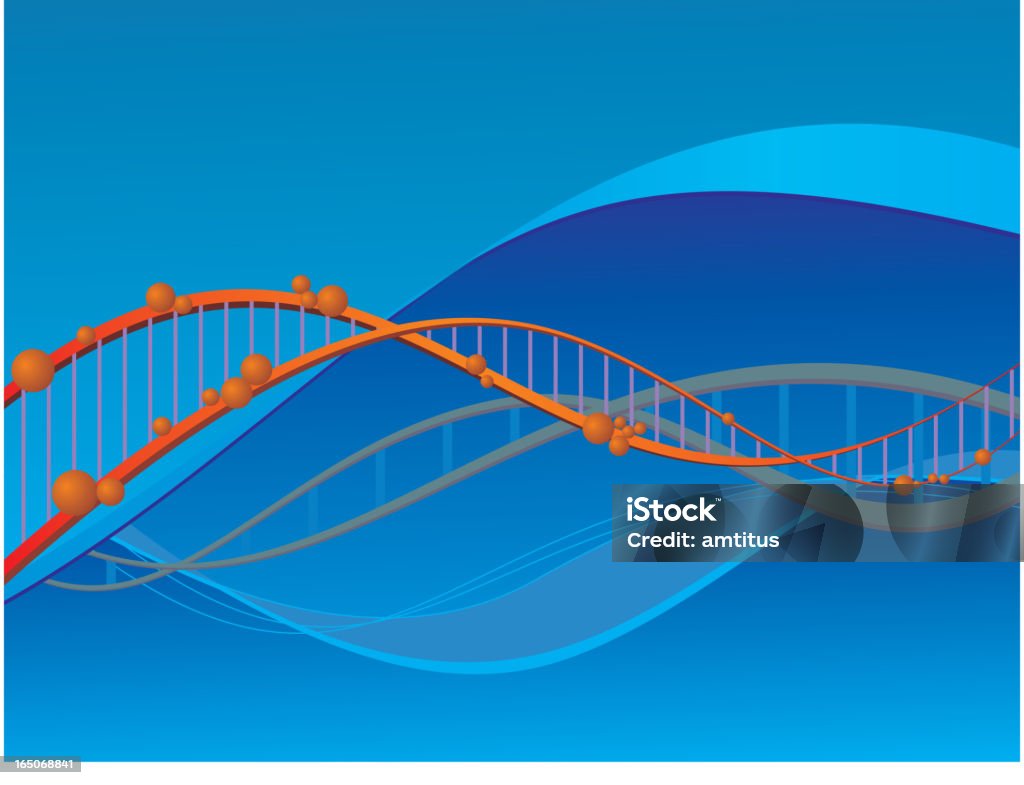 Il dna - arte vettoriale royalty-free di Anatomia umana