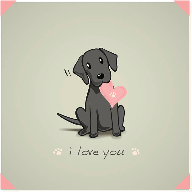 Labrador Puppy Unconditional love from a black lab pup. puppy stock illustrations