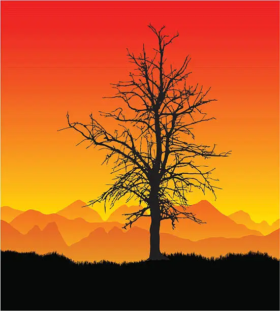 Vector illustration of Parched dead tree