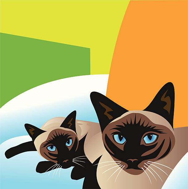Siamese Cats vector art illustration