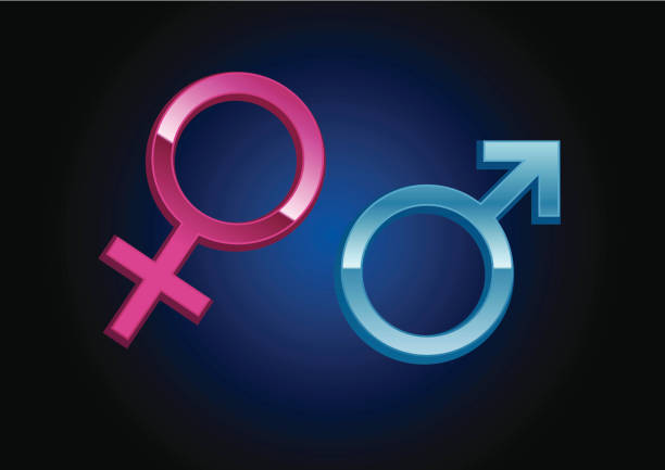 istock Three dimensional male and female gender symbols 165070492