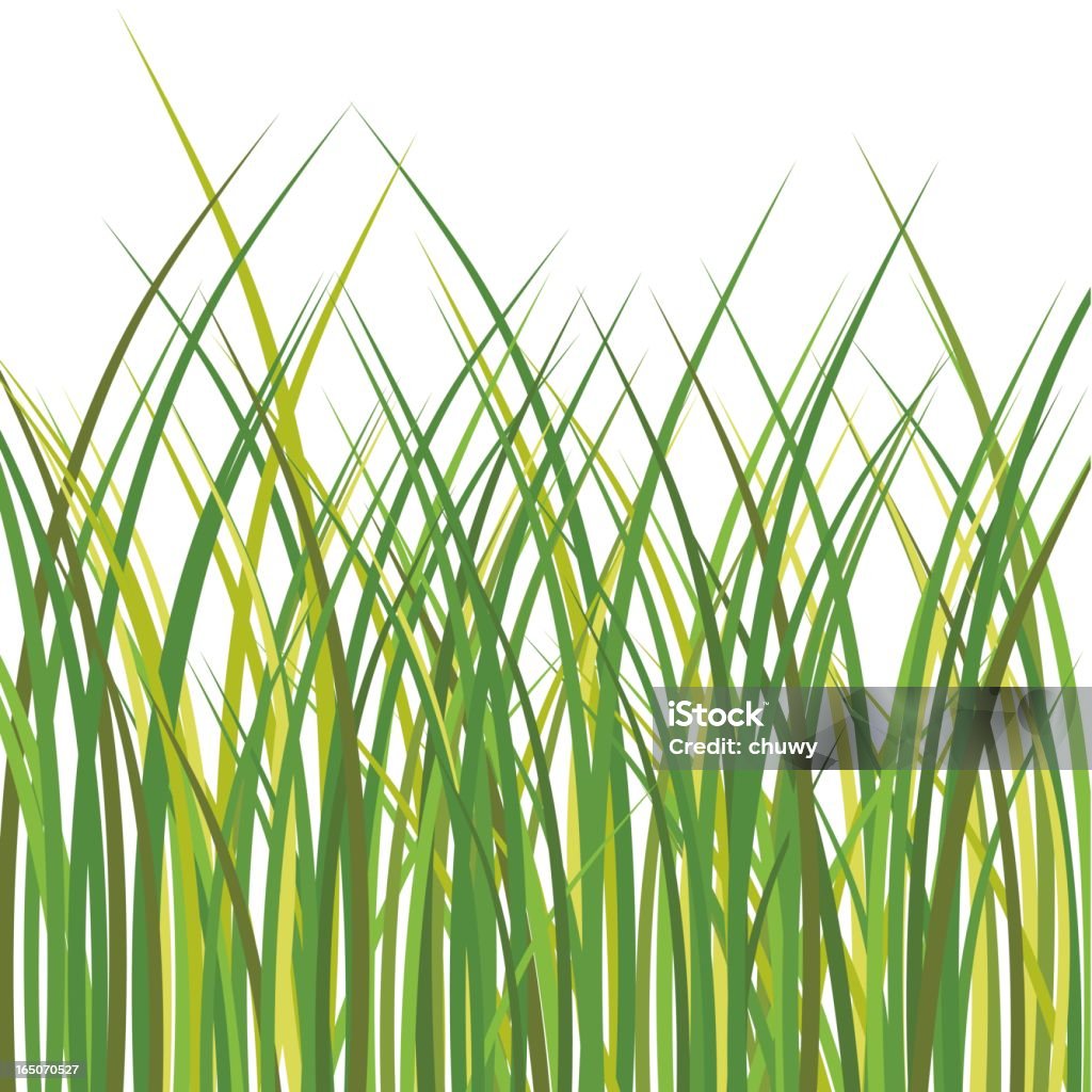 Grass Bunch of grass in different shades of green. Beauty stock vector