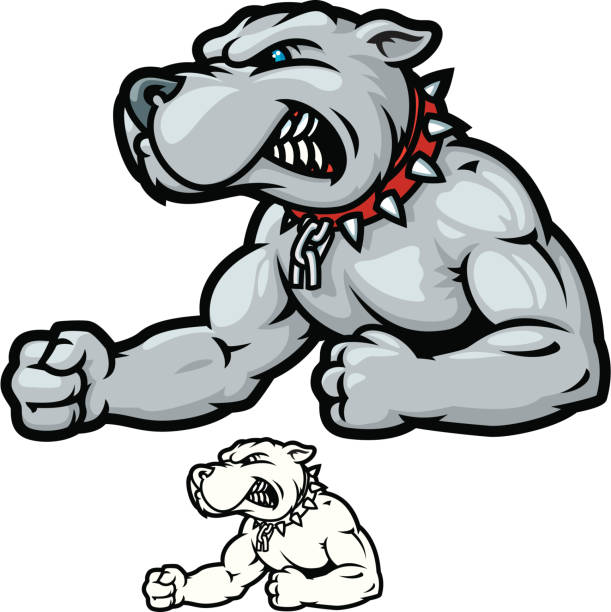 illustrations, cliparts, dessins animés et icônes de bodybuilder bulldog - american bulldog