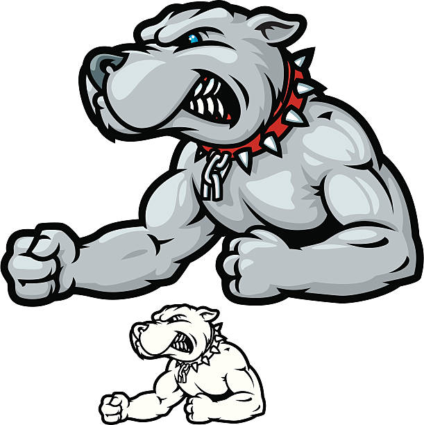 Bulldog Bodybuilder This is a muscle bound PitBull illustration. The file is provided in Illustrator CS2, version 8 EPS and a 12x12 inch 300dpi high-rez jpg. american bulldog stock illustrations