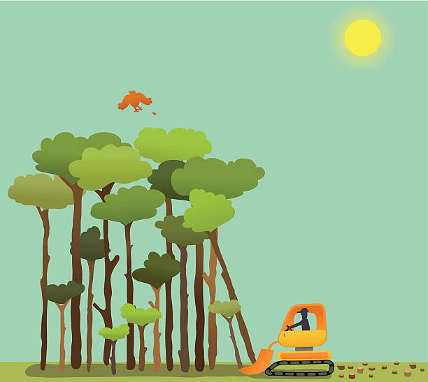 Deforestation Bird disrupted by forest being bulldozed. Comes with high resolution JPEG, AI CS2 and AI8 EPS files. deforestation stock illustrations
