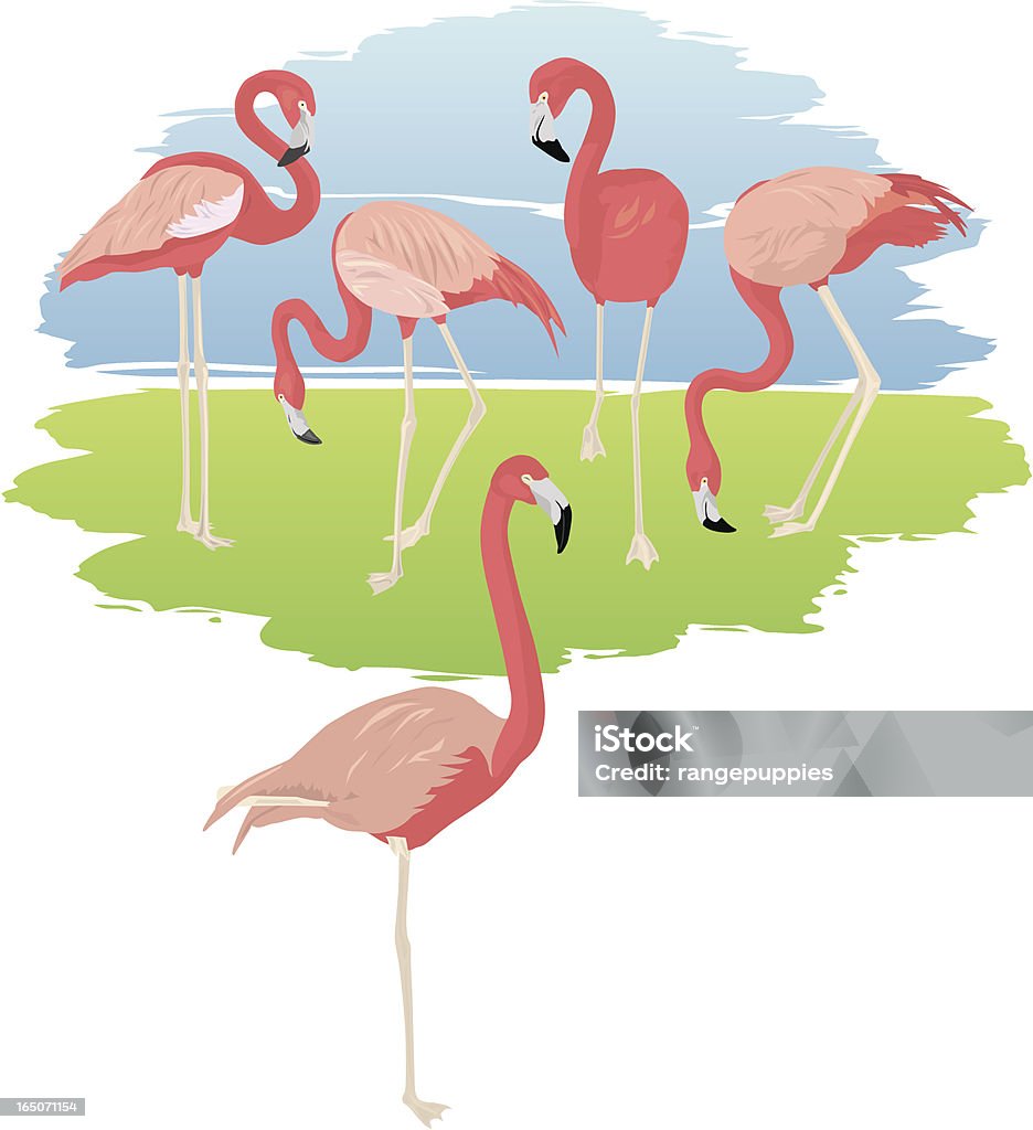 Flamingo fête - clipart vectoriel de Faune libre de droits