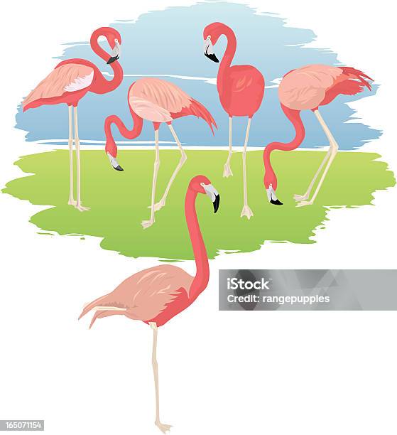 Flamingo Fête Vecteurs libres de droits et plus d'images vectorielles de Faune - Faune, Flamant, Illustration