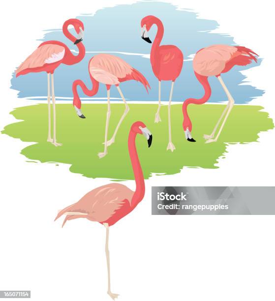 Flamingo Strony - Stockowe grafiki wektorowe i więcej obrazów Bez ludzi - Bez ludzi, Flaming, Grafika wektorowa