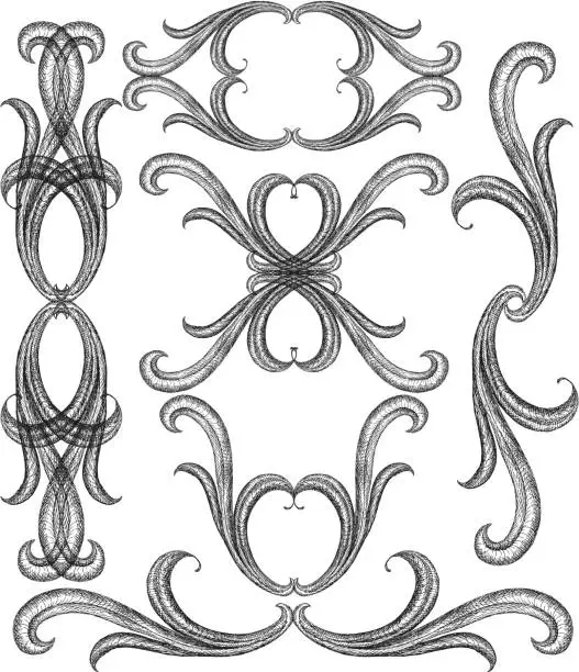 Vector illustration of intricate curls