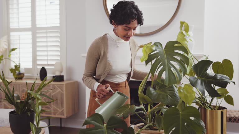 Green Thumb: Nurturing Indoor Plants with Care and Love