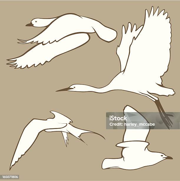 Elegante Aves Em Voo - Arte vetorial de stock e mais imagens de Animal - Animal, Asa de animal, Bico
