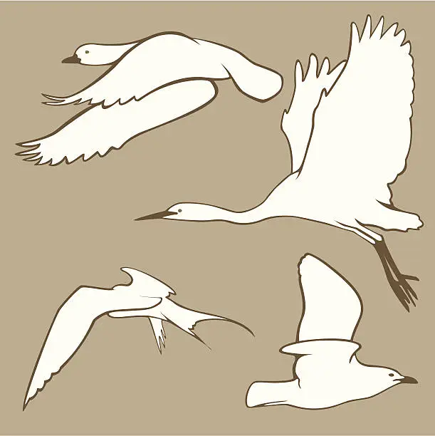 Vector illustration of Stylised Birds in flight