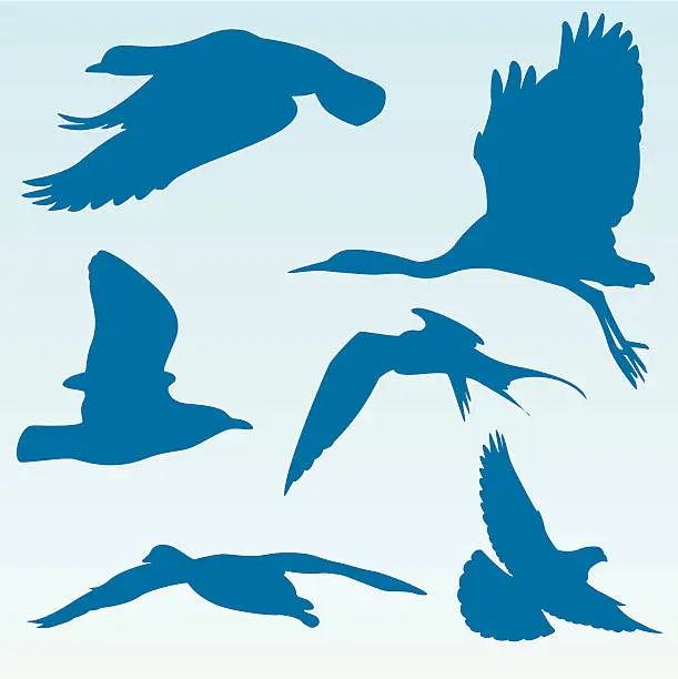 Vector illustration of Silhouetted Birds in Flight