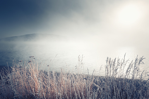 Frost-covered plants on the shore of lake in foggy morning. Beautiful autumn landscape