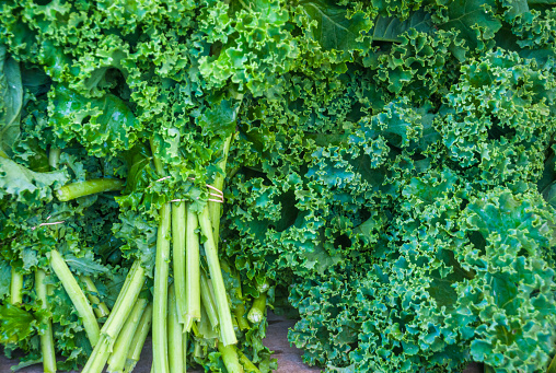 Fresh bunches of kale offered for sale at a weekly Cape Cod farmers market