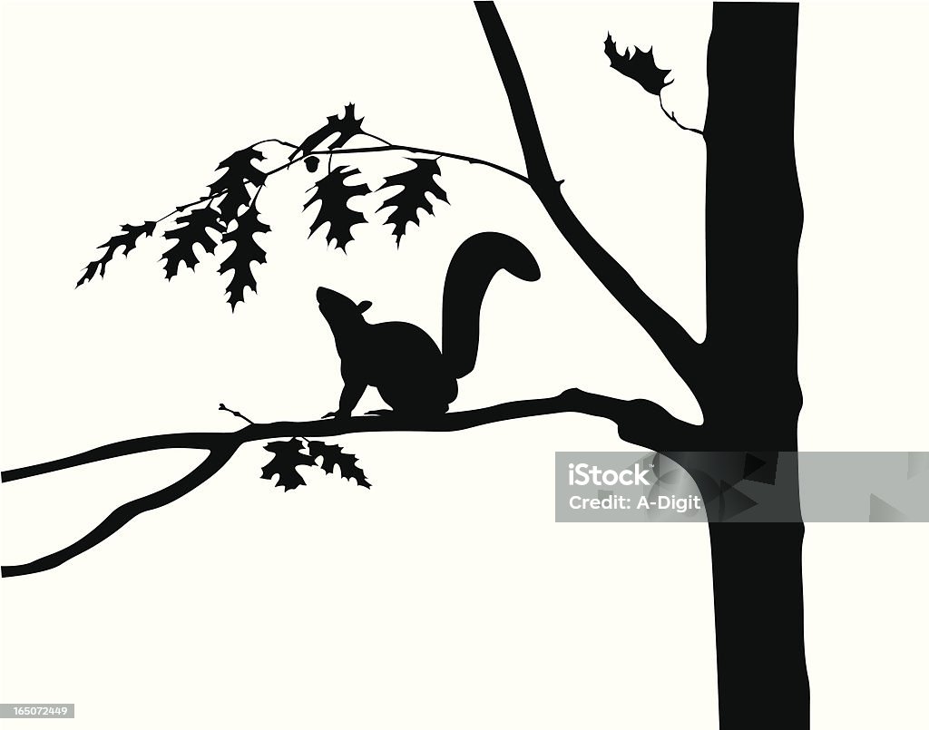 Squirrel Oak Tree Vector Silhouette A-Digit Squirrel stock vector